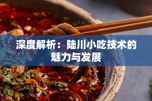 深度解析：陆川小吃技术的魅力与发展
