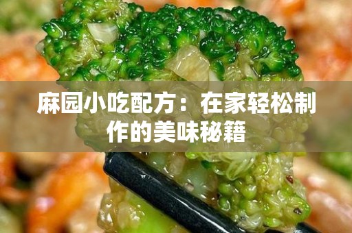 麻园小吃配方：在家轻松制作的美味秘籍