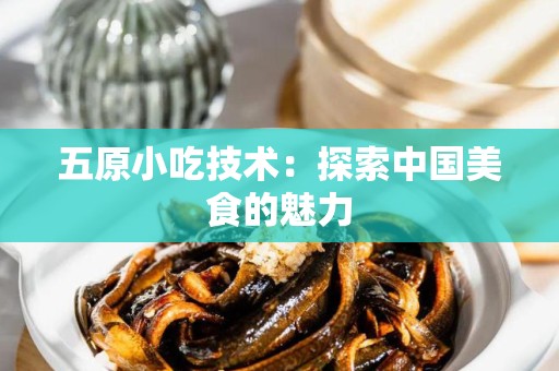 五原小吃技术：探索中国美食的魅力