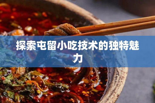 探索屯留小吃技术的独特魅力
