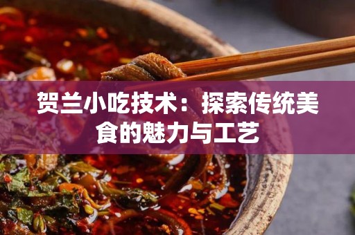 贺兰小吃技术：探索传统美食的魅力与工艺