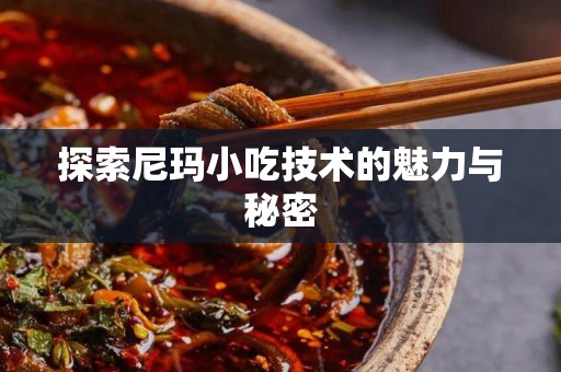 探索尼玛小吃技术的魅力与秘密