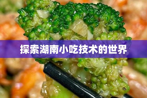 探索湖南小吃技术的世界
