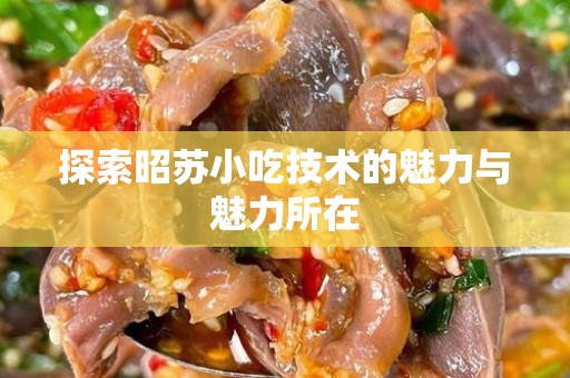 探索昭苏小吃技术的魅力与魅力所在