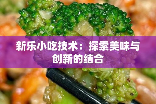 新乐小吃技术：探索美味与创新的结合