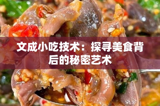 文成小吃技术：探寻美食背后的秘密艺术