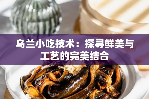 乌兰小吃技术：探寻鲜美与工艺的完美结合