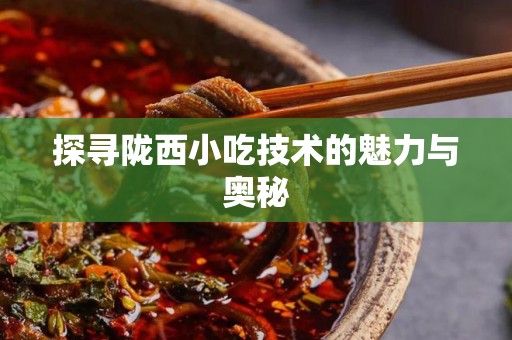 探寻陇西小吃技术的魅力与奥秘