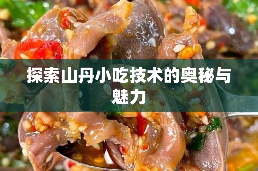 探索山丹小吃技术的奥秘与魅力