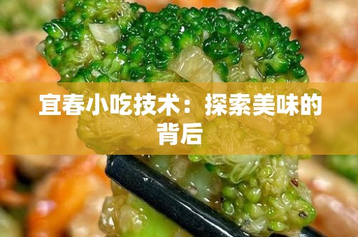 宜春小吃技术：探索美味的背后