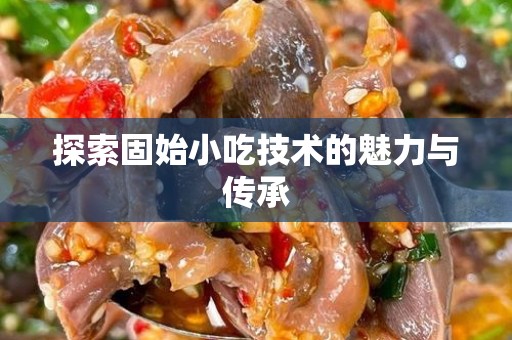 探索固始小吃技术的魅力与传承