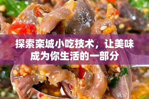 探索栾城小吃技术，让美味成为你生活的一部分
