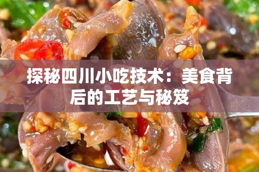探秘四川小吃技术：美食背后的工艺与秘笈