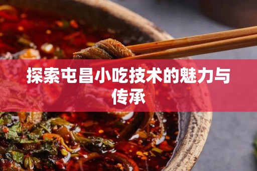 探索屯昌小吃技术的魅力与传承
