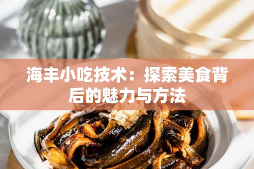 海丰小吃技术：探索美食背后的魅力与方法
