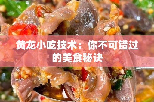 黄龙小吃技术：你不可错过的美食秘诀