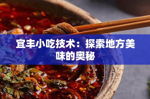 宜丰小吃技术：探索地方美味的奥秘