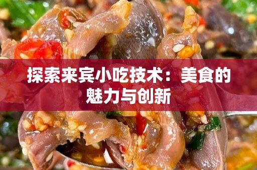 探索来宾小吃技术：美食的魅力与创新