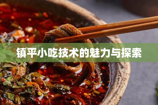 镇平小吃技术的魅力与探索