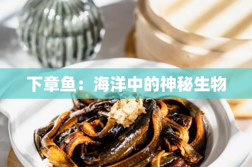 下章鱼：海洋中的神秘生物