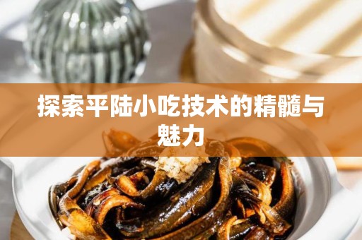 探索平陆小吃技术的精髓与魅力