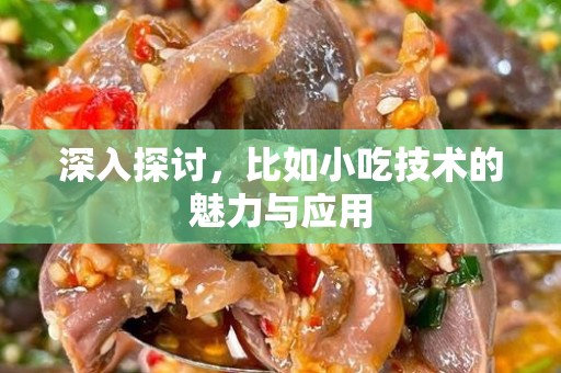 深入探讨，比如小吃技术的魅力与应用