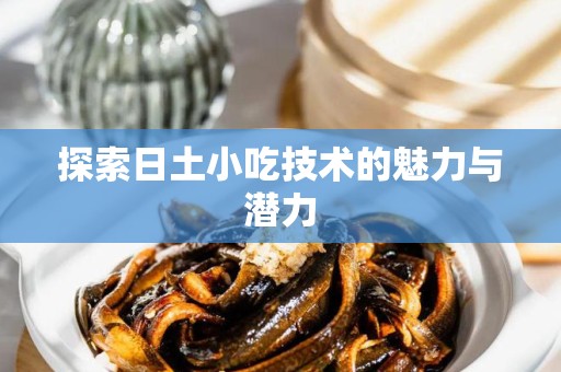 探索日土小吃技术的魅力与潜力