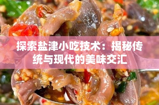 探索盐津小吃技术：揭秘传统与现代的美味交汇