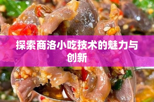 探索商洛小吃技术的魅力与创新