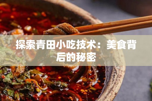 探索青田小吃技术：美食背后的秘密