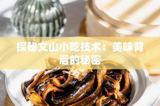 探秘文山小吃技术：美味背后的秘密
