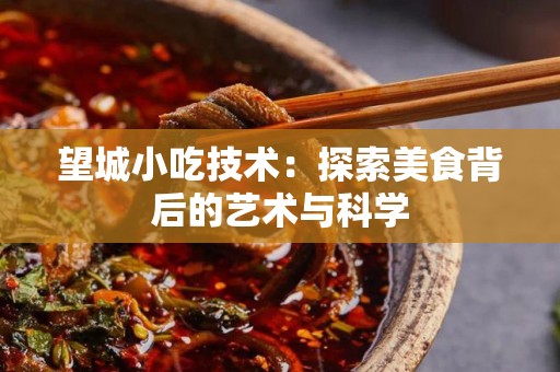 望城小吃技术：探索美食背后的艺术与科学