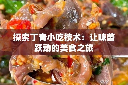 探索丁青小吃技术：让味蕾跃动的美食之旅