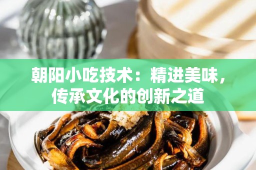 朝阳小吃技术：精进美味，传承文化的创新之道