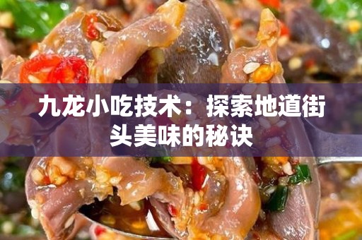 九龙小吃技术：探索地道街头美味的秘诀