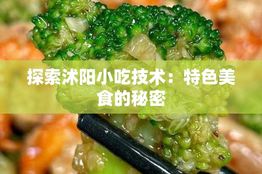 探索沭阳小吃技术：特色美食的秘密