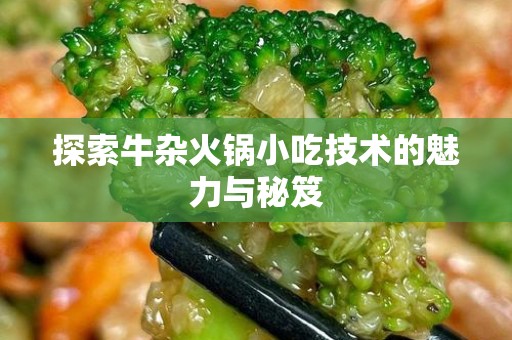 探索牛杂火锅小吃技术的魅力与秘笈