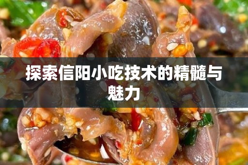探索信阳小吃技术的精髓与魅力