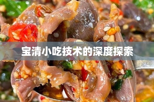 宝清小吃技术的深度探索