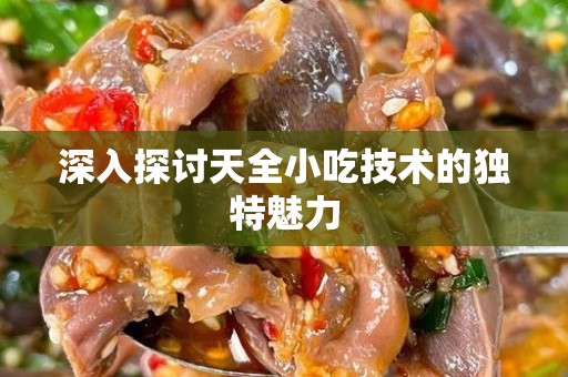 深入探讨天全小吃技术的独特魅力