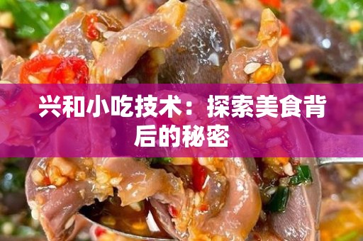 兴和小吃技术：探索美食背后的秘密