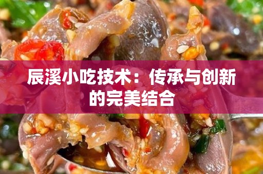 辰溪小吃技术：传承与创新的完美结合