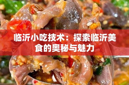 临沂小吃技术：探索临沂美食的奥秘与魅力