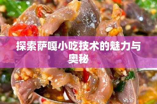 探索萨嘎小吃技术的魅力与奥秘