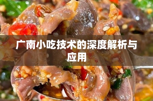 广南小吃技术的深度解析与应用