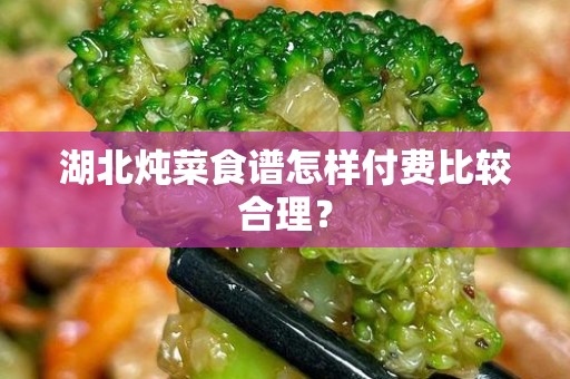 湖北炖菜食谱怎样付费比较合理？