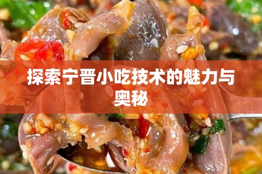 探索宁晋小吃技术的魅力与奥秘