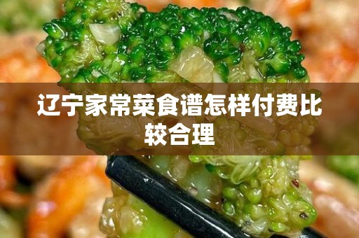 辽宁家常菜食谱怎样付费比较合理