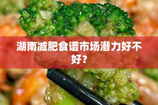 湖南减肥食谱市场潜力好不好？