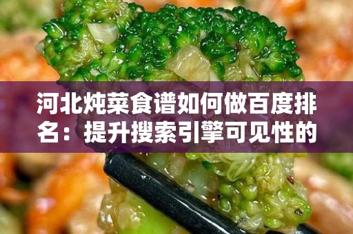 河北炖菜食谱如何做百度排名：提升搜索引擎可见性的实用指南